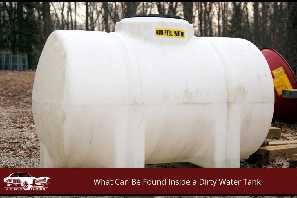 Common contaminants found inside dirty water tanks including sludge and debris