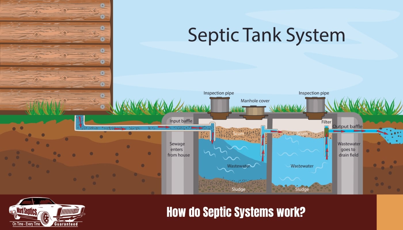 How do Septic Systems work