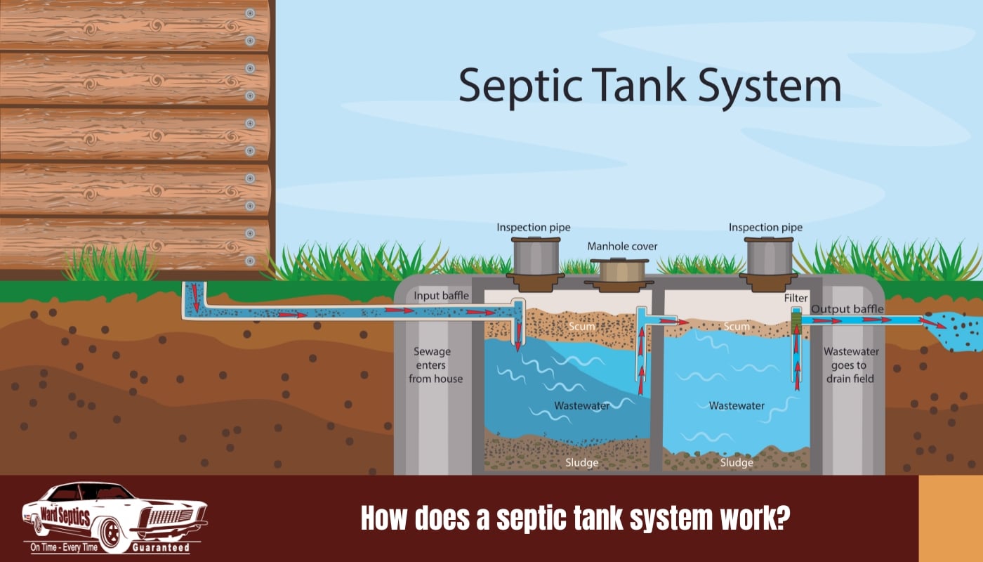 How does a septic tank system work?
