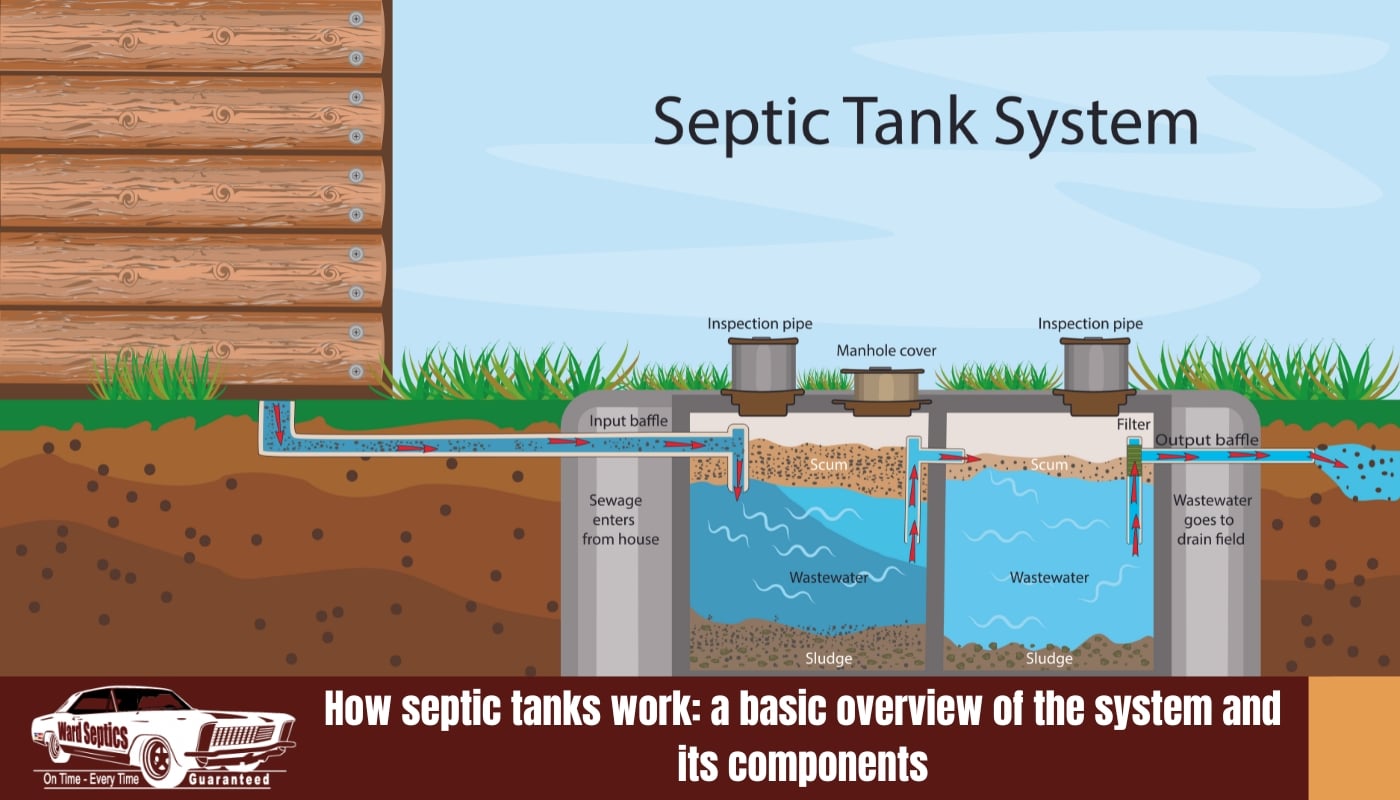 How septic tanks work: a basic overview of the system and its components