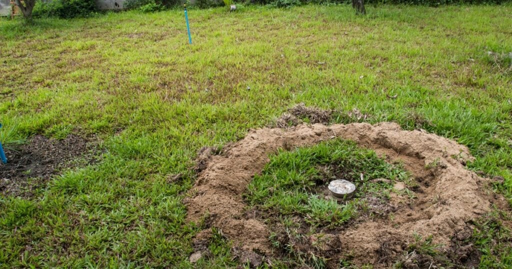 A circular ring of fresh dirt piled around a small concrete cap or pipe opening in a patchy green lawn in Wyee.