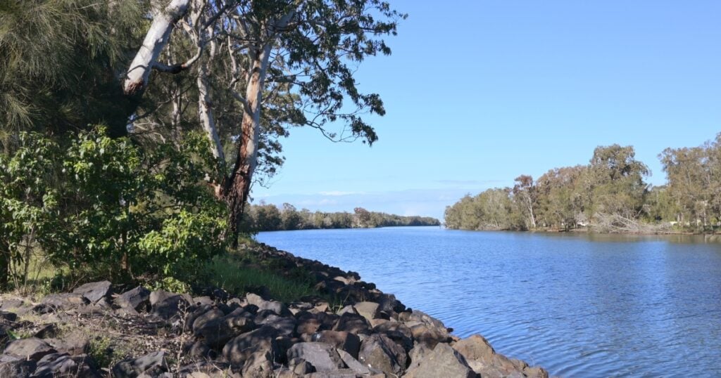 A rocky riverbank lined with tall eucalyptus trees looking out over a wide, calm blue river in Wyong.