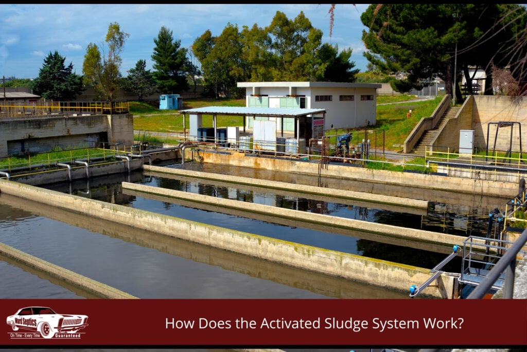 How Does the Activated Sludge System Work