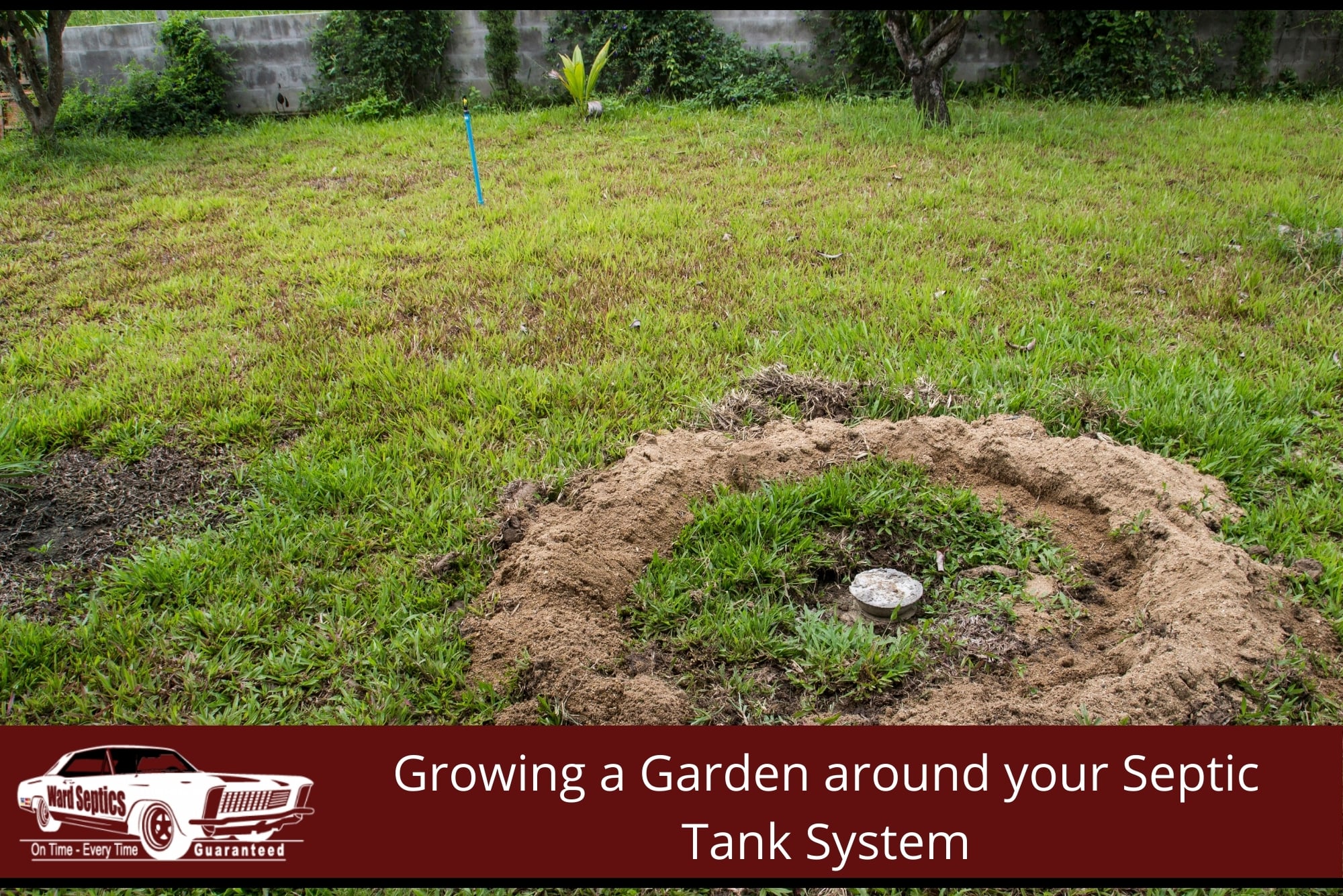 A circular ring of freshly dug dirt frames an access point for an underground septic tank system.