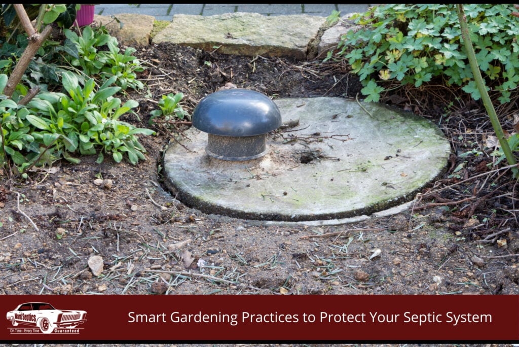 Smart Gardening Practices to Protect Your Septic System