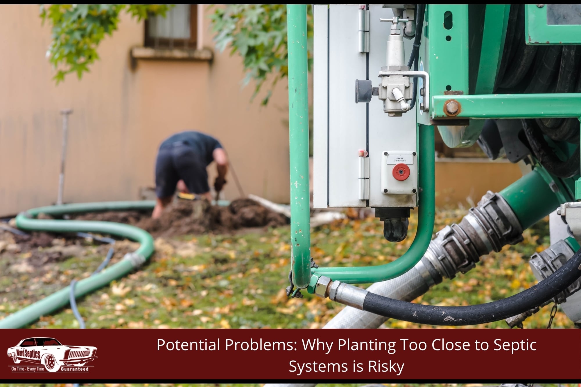 Why Planting Too Close to Septic Systems is Risky