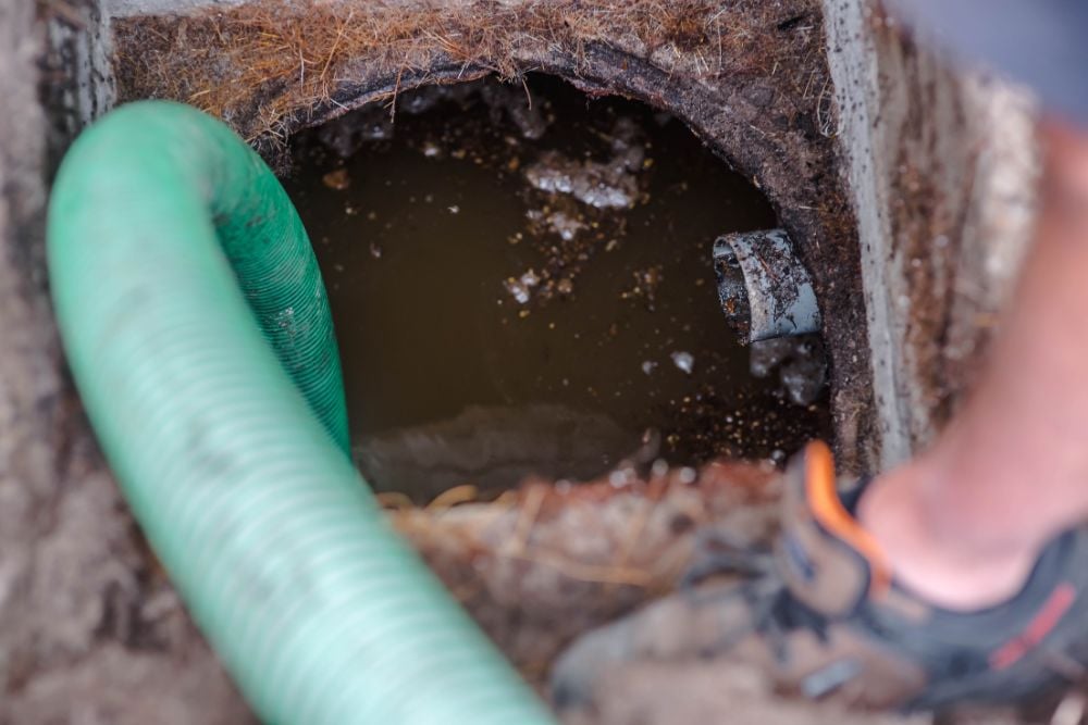 An open septic tank, where a bright green suction hose is submerged in dark wastewater and a PVC inlet pipe is visible.