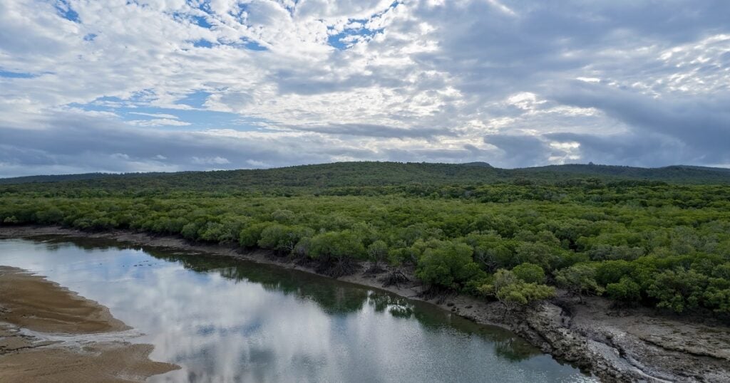A calm river winding past a dense green mangrove forest under a wide, cloudy sky in Greengrove.