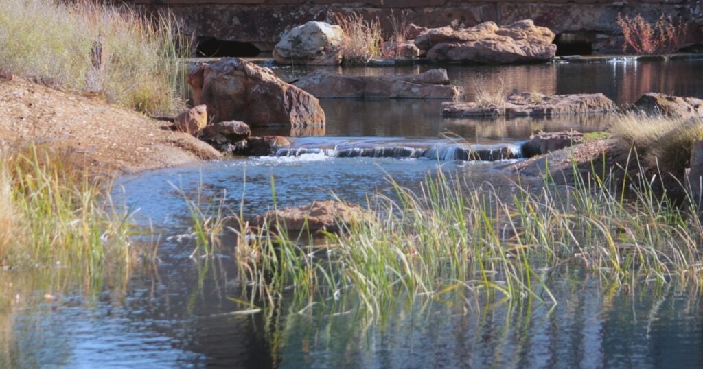 A small, clear stream flows over low rock ledges and around smooth boulders in Wyong Creek