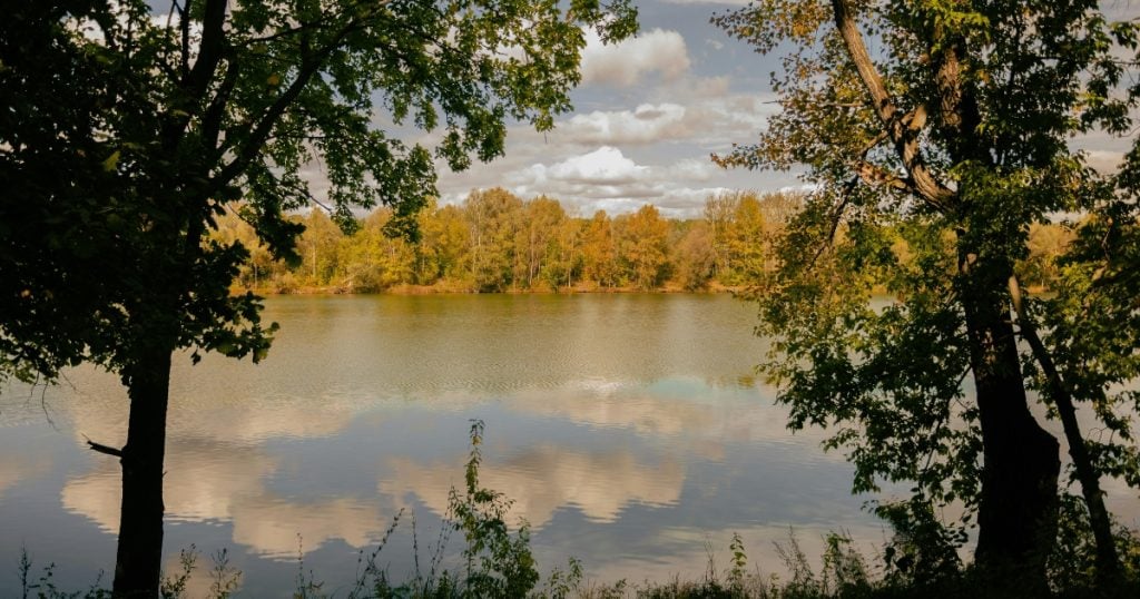 A calm river reflecting puffy white clouds, with a dense line of autumn-coloured forest along the opposite bank in Wadalba.