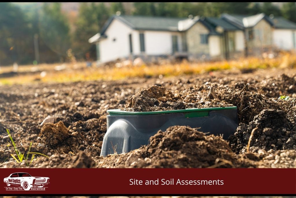Site and Soil Assessments
